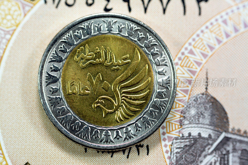 埃及1 LE EGP正面埃及纸币上的一枚埃及镑硬币，阿拉伯语翻译(警察日70周年)，在埃及警察日的纪念上有一只飞翔的猎鹰